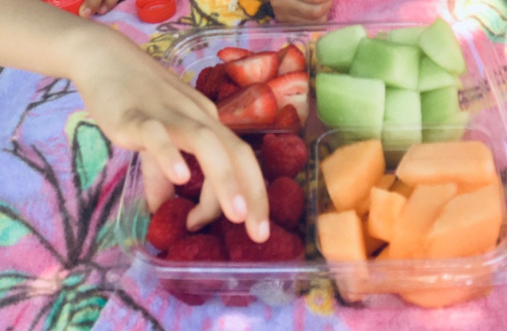 fruitsLesKidsMontreal